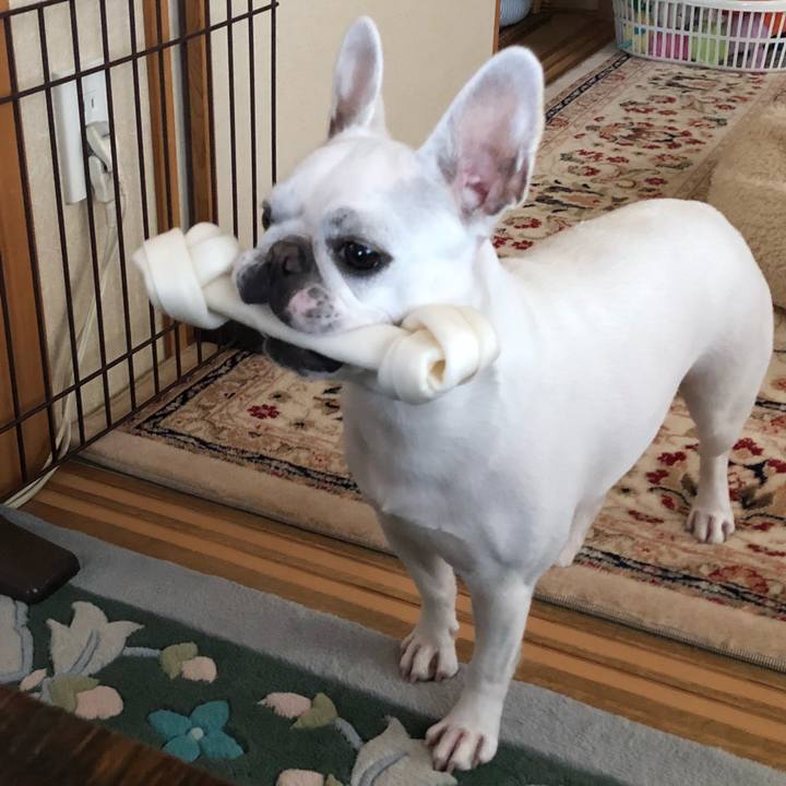 Fd42a105 b19e 4af6 a8a0 2fe62dedd7c2 1544249664472