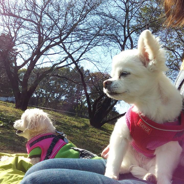 Fd42b297 5a09 423f 9098 245a500bcfb3 1605444977545