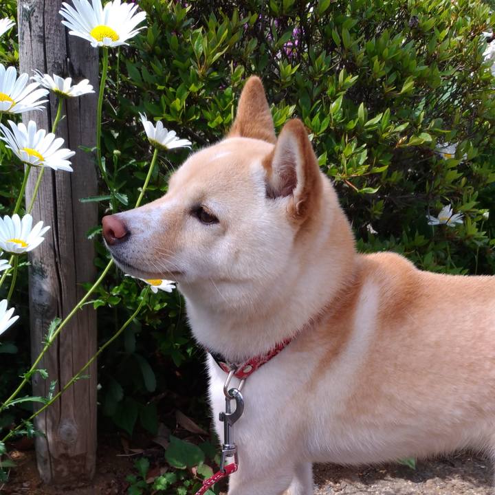 Fd42b3a6 8a45 495d b5ef daef74b7316e 1525089899890