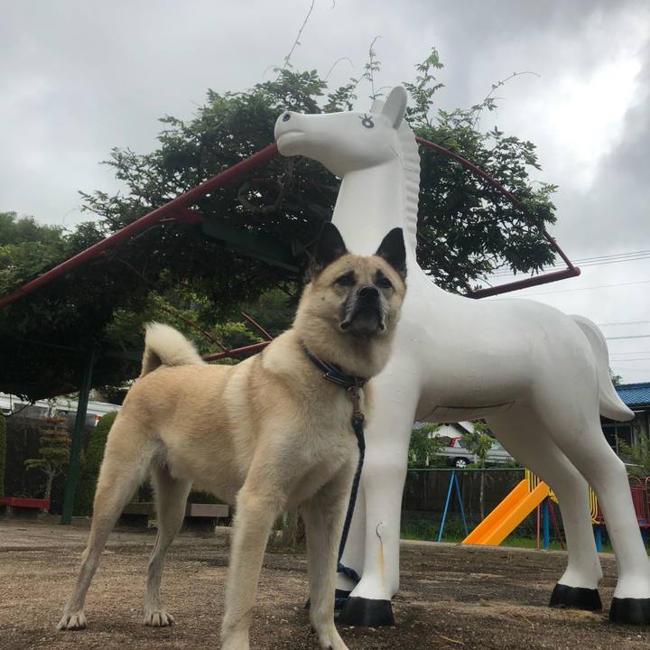 Fd432686 d9fe 4988 a5d9 17630b0a1bec 1628422981953