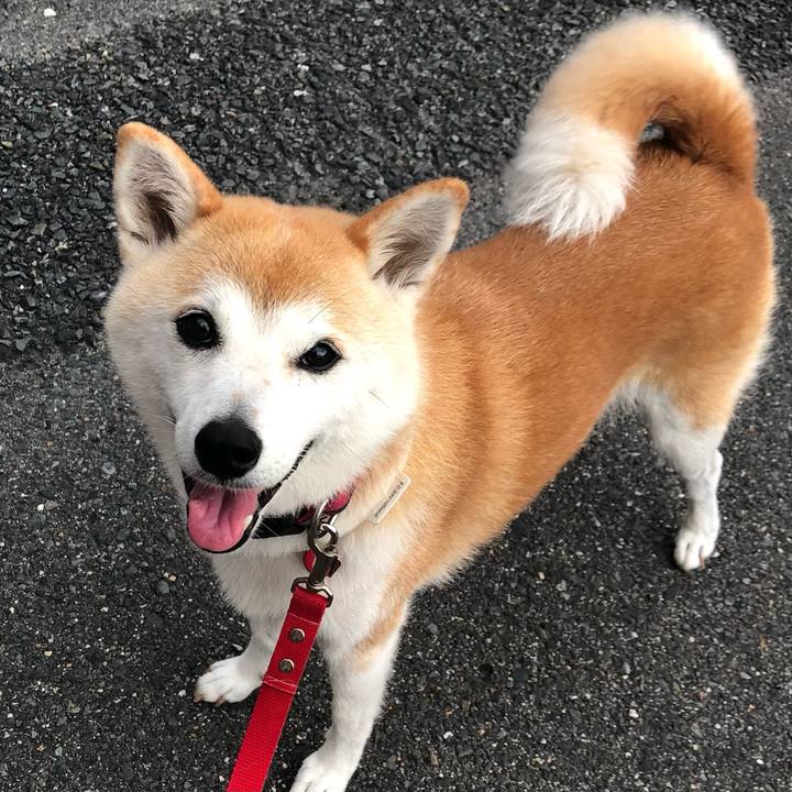 Fd4342ff 55ca 4764 8466 5778d68561fb 1694744308020