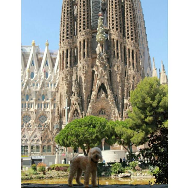 Fd4346c6 2961 4ad8 9de4 7412d305ef9c 1594296090048