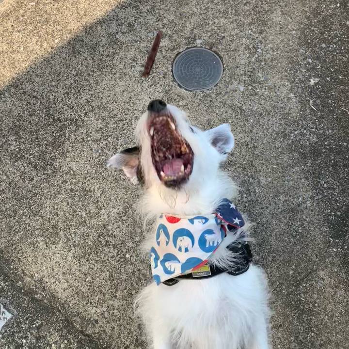 Fd435455 9f09 4bfc 9b48 c758df335331 1756249770256