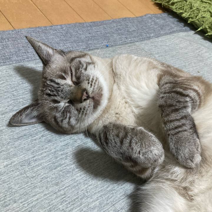 Fd43749a 3072 4784 acfb b49a54fbcb47 1762591548616