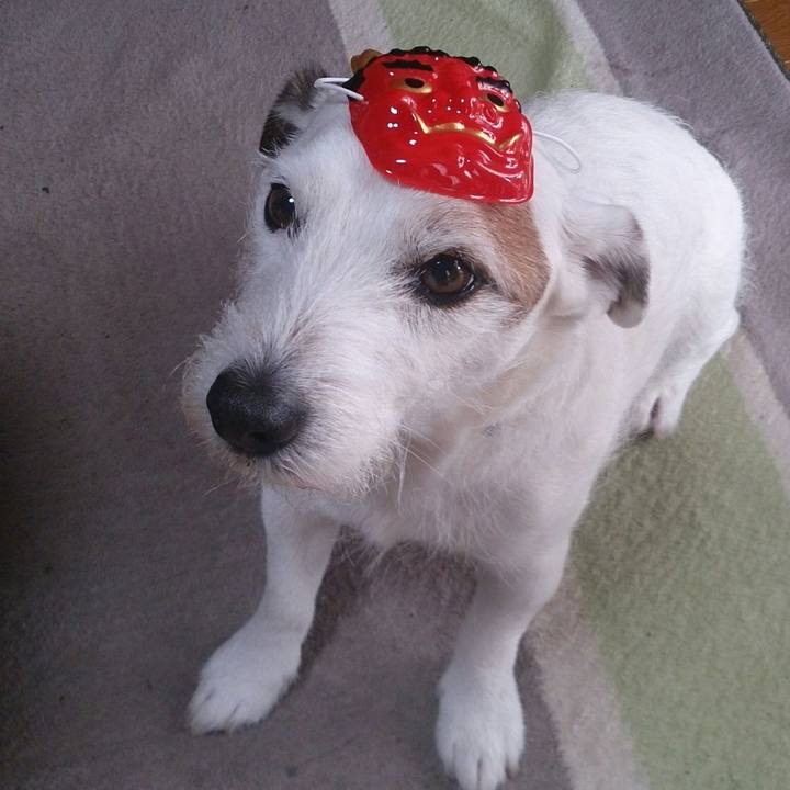 Fd437bf2 0c6a 4359 aeff a6e83fe2ab08 1517617378470