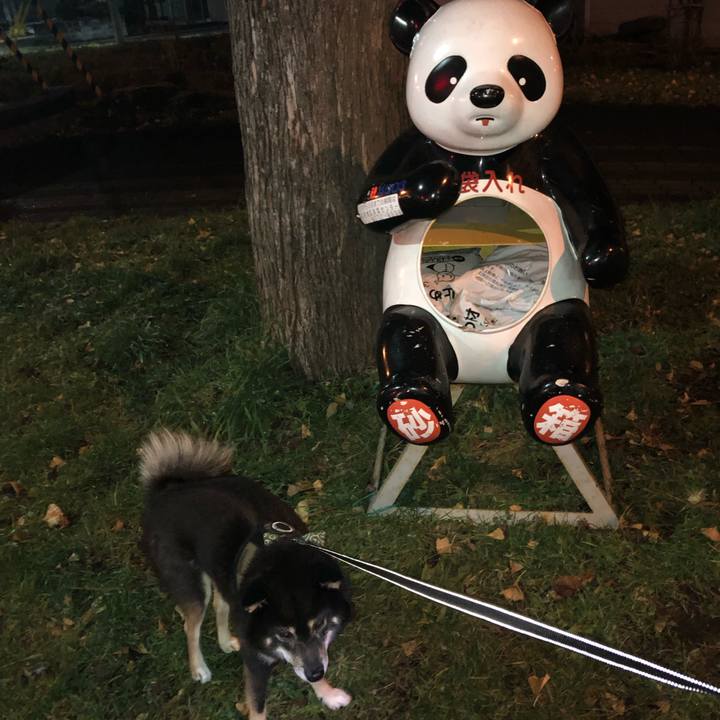 Fd439495 e0a3 45c5 be2e c66555d3e69c 1542773961529