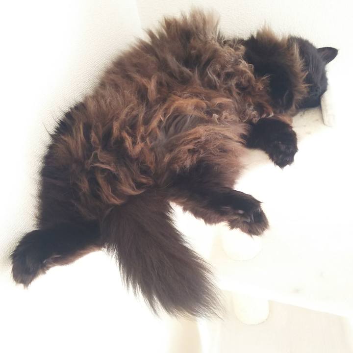 Fd43bf1b cdd6 46ea a79a fcacca750e07 1572229042001