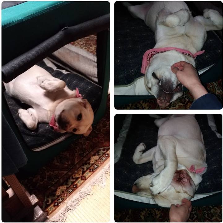 Fd43d511 d68e 4340 8841 23fa9a645f4c 1552140654394