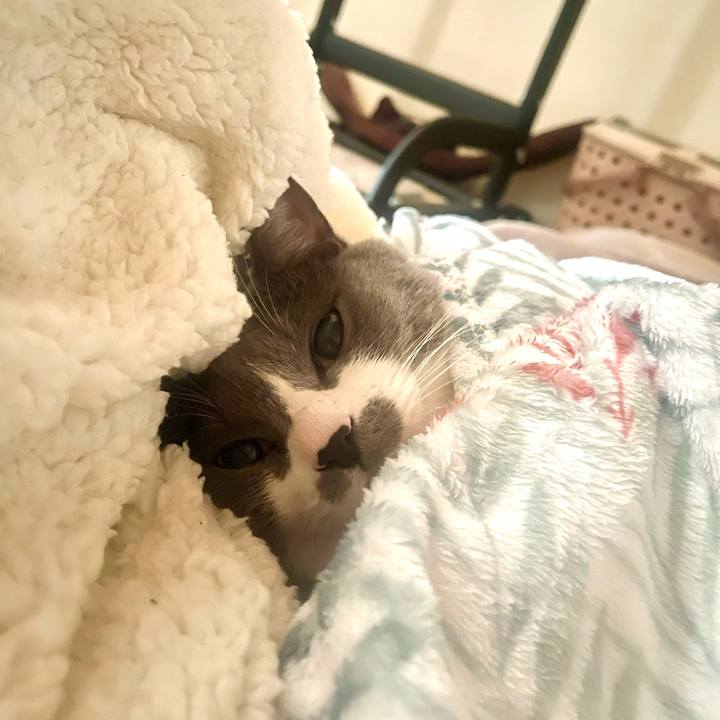 Fd43d631 98d5 444f a959 86aa9a9ad763 1700955964843