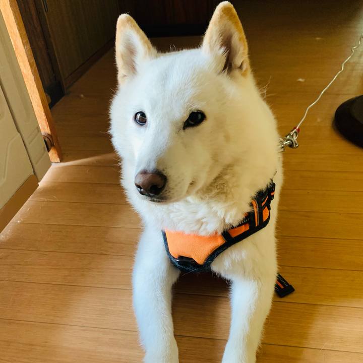 Fd43f616 f59f 4a98 b0a5 37dc0765a519 1620592056099