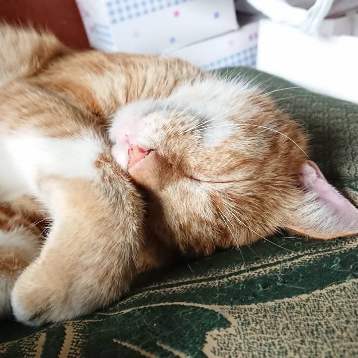 Fd44236e ef9c 45a7 905a 1a84b26e4627 1567472728867