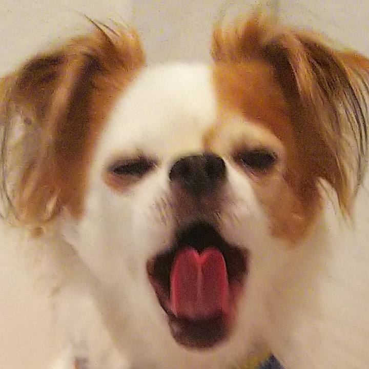 Fd446053 be13 444b b2dd 071327ed2167 1526743545610