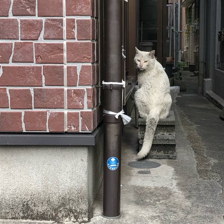 Fd446f9e f354 4cfd 87be 8838e5286679 1620576206395