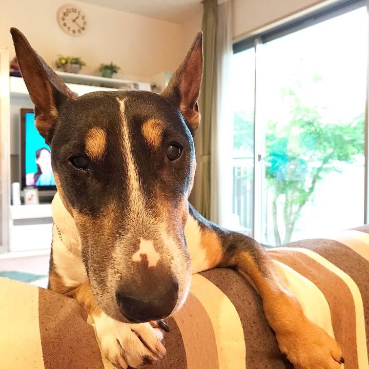 Fd44ad8b 4df0 41fc 8b39 5321ae787494 1528605905210