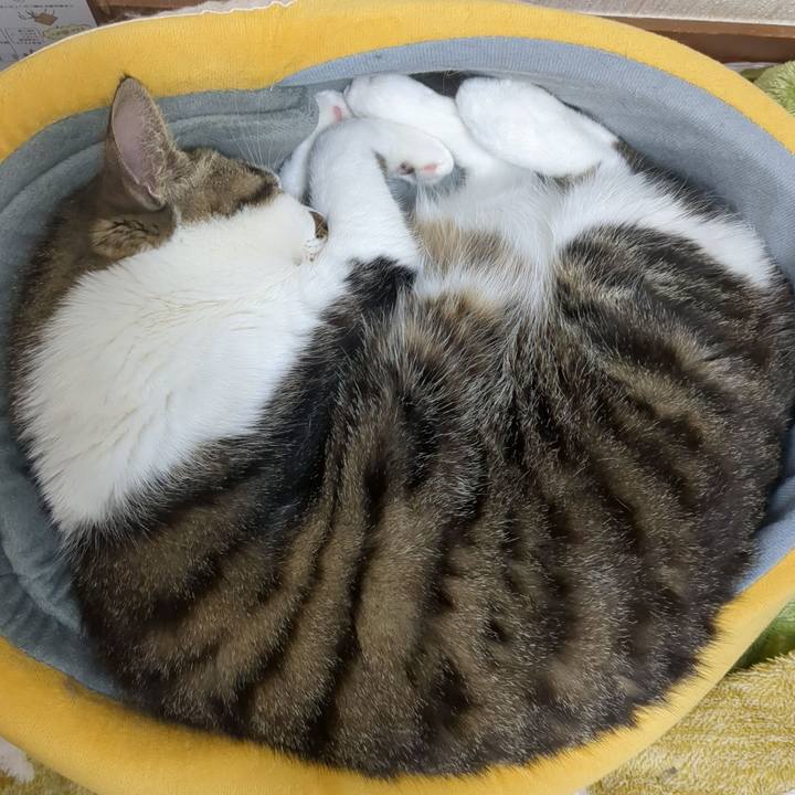 Fd44b948 45bc 410e 91da bd59314e8a33 1680068983468