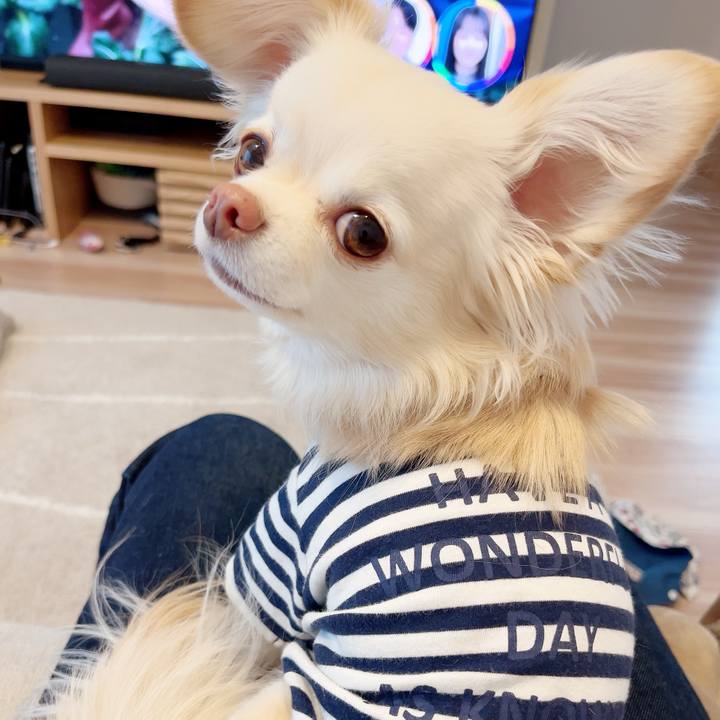 Fd44c53e 3d99 441b b434 2781ff3d0ac1 1705446688387