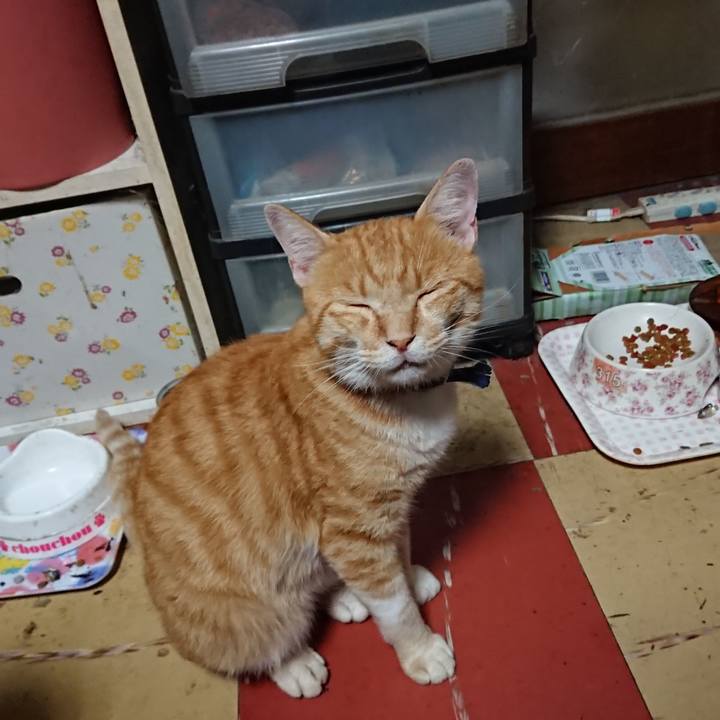 Fd44d6da 7488 426f a3f0 6a7cc69a2cf8 1564862621201