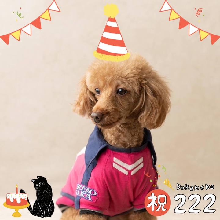 Fd44da1e ee62 4502 ac0c 0e49058bc5f8 1645499773317