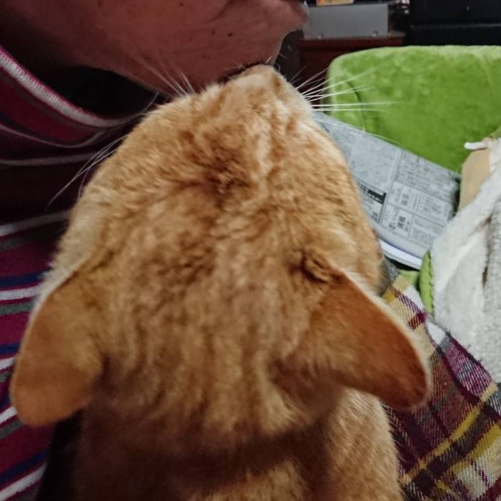 Fd44f537 a477 48f4 83a7 68be684b36b1 1583530351825