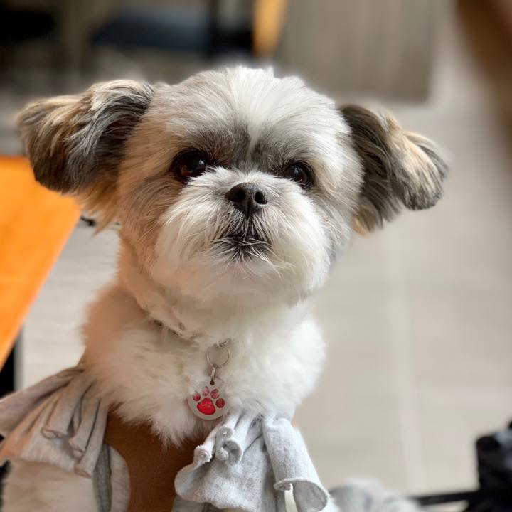 Fd454910 fa05 4d13 8dcd be543baf3c70 1600042139217