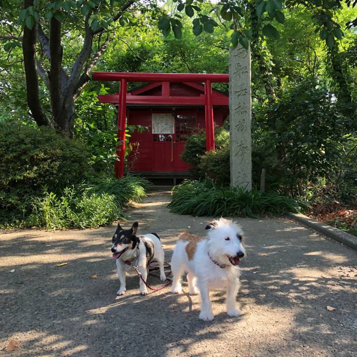 Fd455249 d0cd 4051 a646 36f7e615fa8d 1532132245447