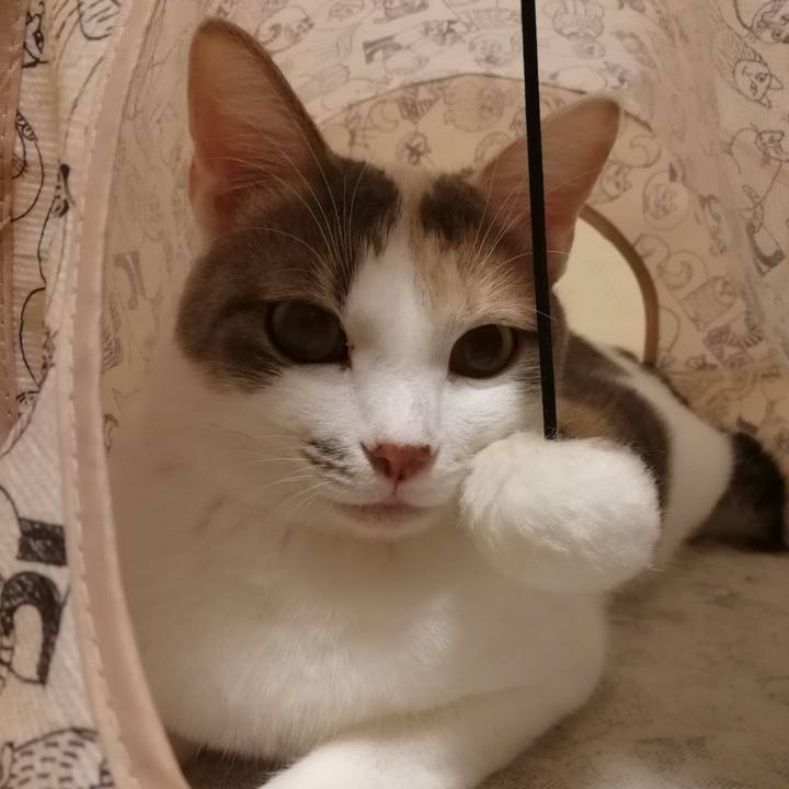 Fd45693f 777a 4b01 a220 fbf3e908e817 1539779083173