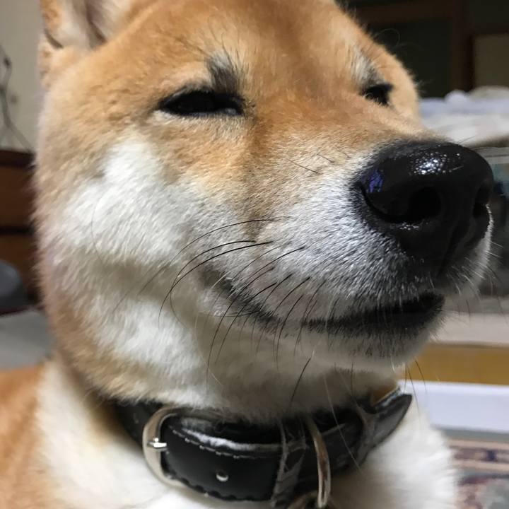 Fd456cce 54be 4889 9e47 1dfef1edf186 1527292617023