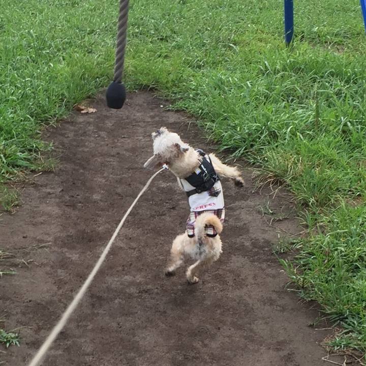 Fd4577cb 3a18 45b0 9696 b3d3396ed4a7 1565867118606