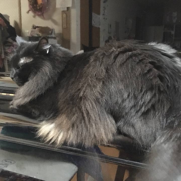 Fd45ef6a eaa2 4de5 8ac4 7911d25f329f 1548899694135