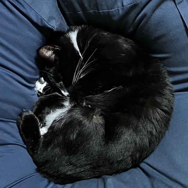 Fd461f8d 8e67 4ee6 82a3 e17c54841aa6 1734335430301