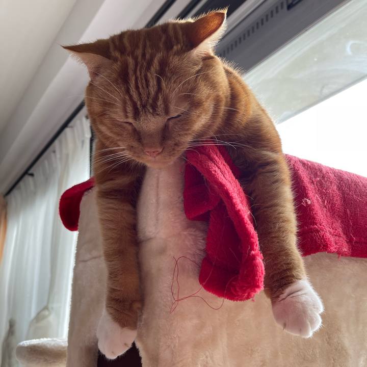 Fd467da1 678e 4fbd b3fd 0e899424bd31 1677376252261