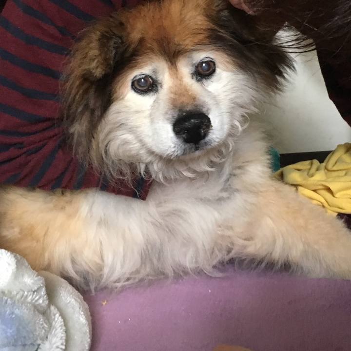 Fd46b4f6 d328 4b87 8015 7011464f6596 1564112594524