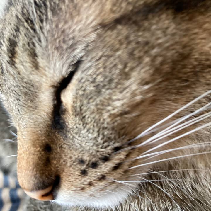 Fd46bf3c b06b 4e6d b249 05ff7dcc351a 1762038718548