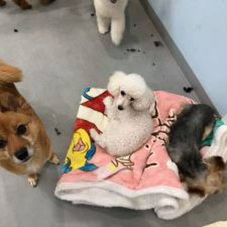 Fd46f04d 19a1 44e2 9f34 d770cd1b9456 1567230711810