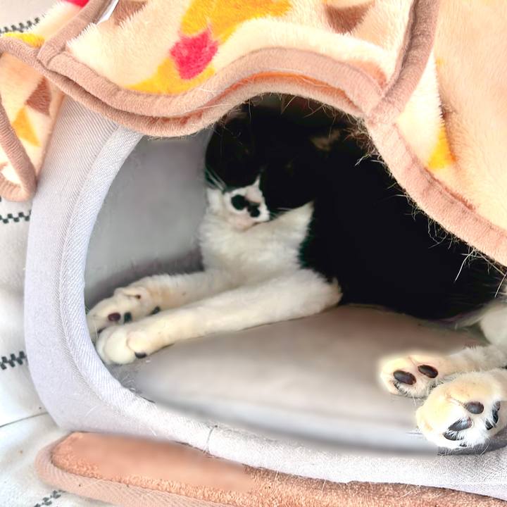 Fd470538 87b5 46c7 90fd 8ee5a87d54cf 1673052278438