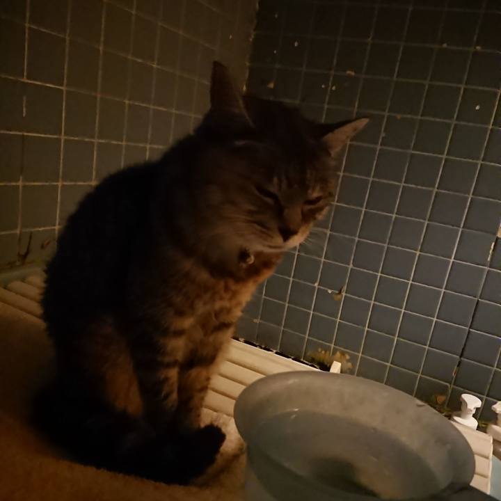 Fd47073c bfa4 4eb6 9958 a13b7ce04912 1571476447357