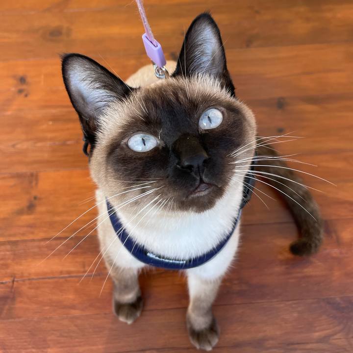 Fd471afd d2c0 43f6 8b87 ecc4eb965365 1712995669156