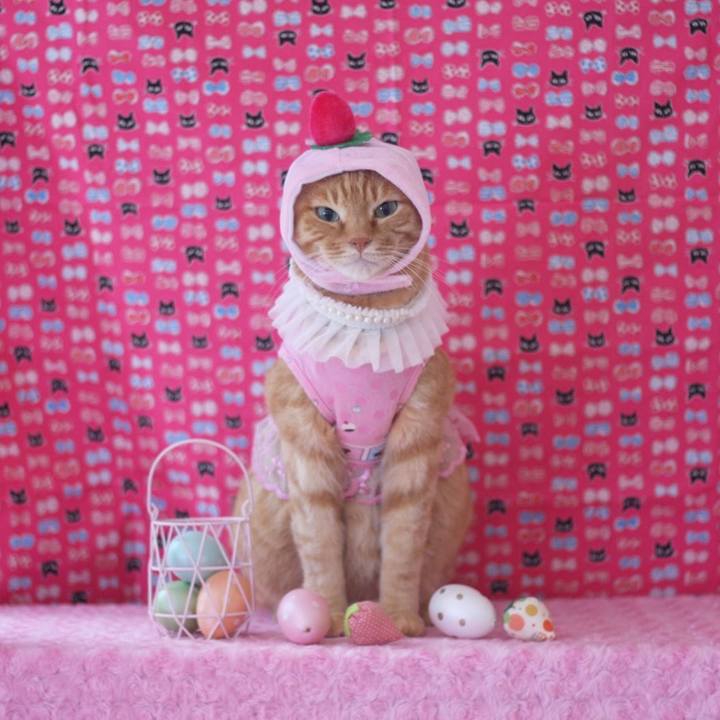 Fd474022 824c 4c4c be42 7c19313c17c0 1656743450767