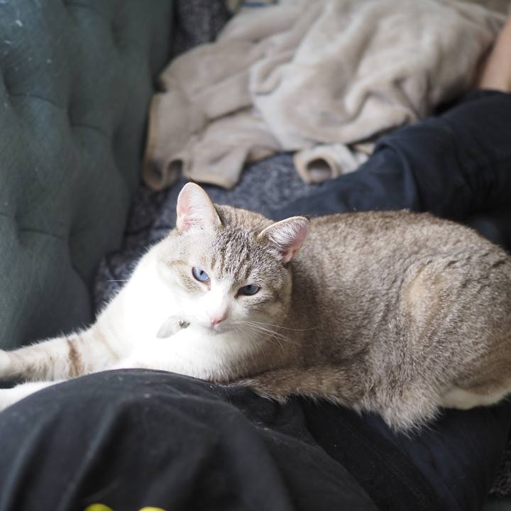 Fd476bb6 f4ea 483b 885f 1d07a65eda1c 1620606447239