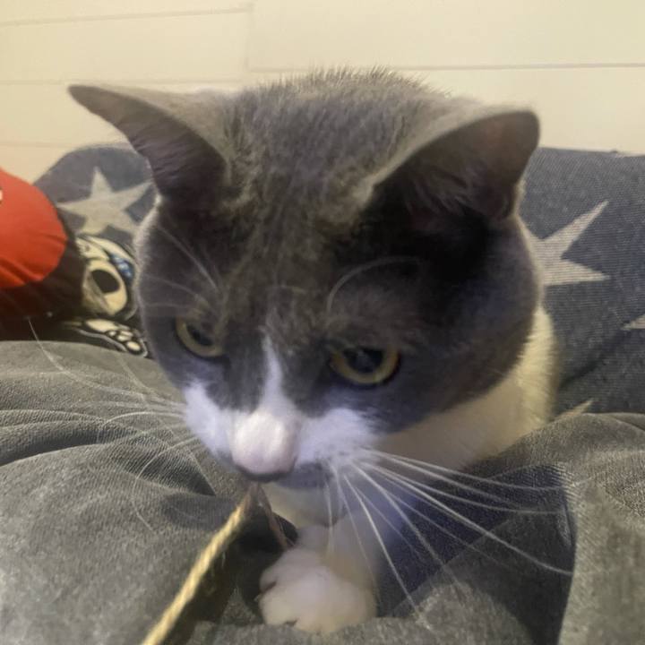 Fd47aa1d 775d 407e a29b ad4e0c7a6576 1623814213074