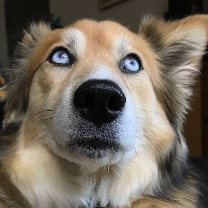 Fd47b070 cc65 4438 8dce 0b0ec52afafd 1523852166667