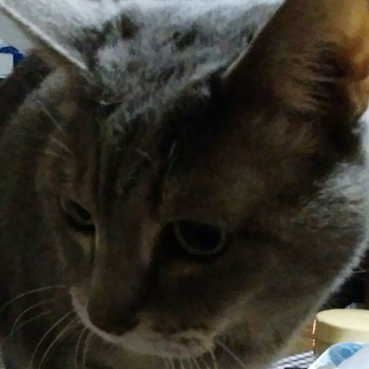 Fd47d87b ba7c 4f6a acbf 3025ecd81a0e 1578680084344