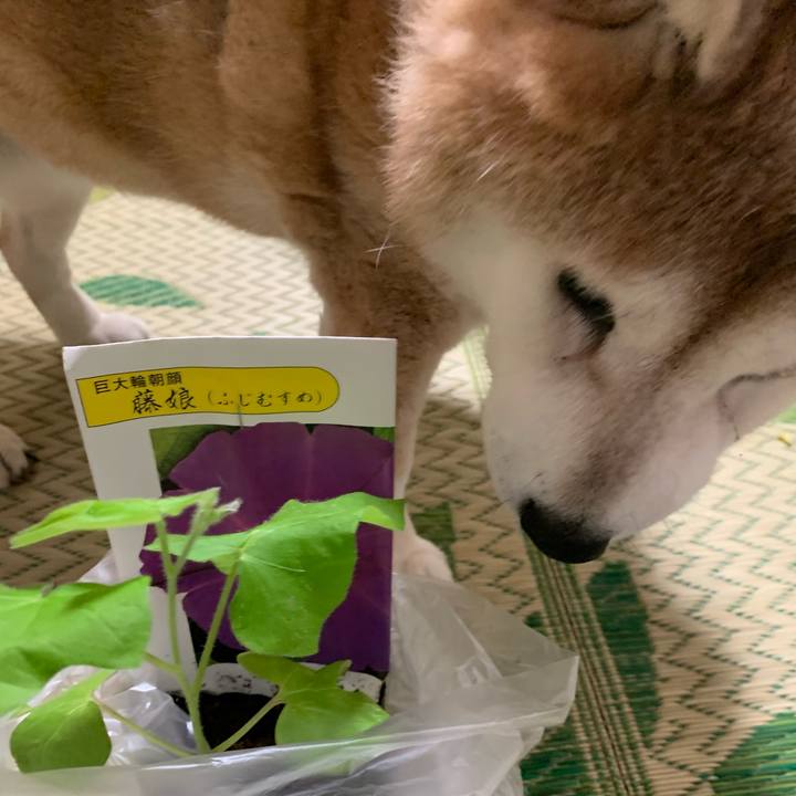 Fd47e257 7724 4c7a b339 e91584089e10 1625528320102