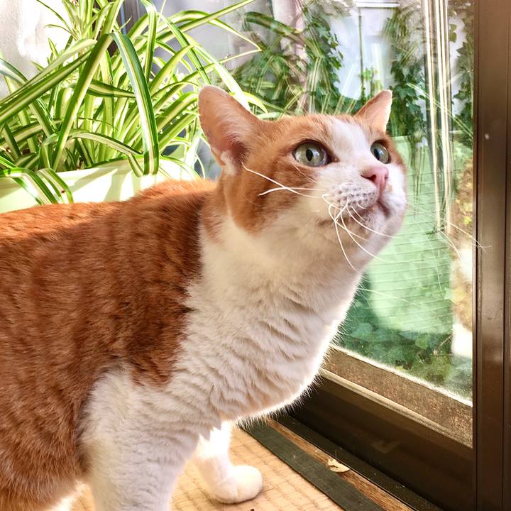 Fd47eca5 1783 4f3e b14e 303b761b8239 1574140050822