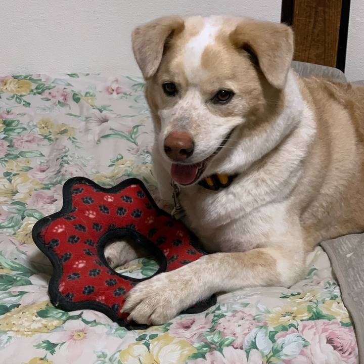 Fd480ddd 0f80 4ed2 829a d14ca1eb967b 1584613691207