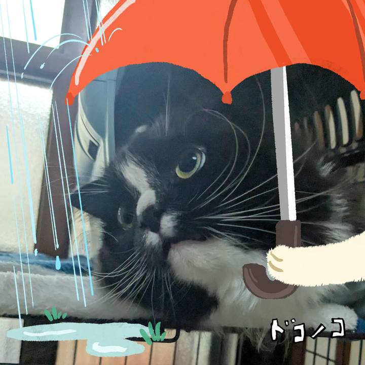 Fd484173 5a99 44c3 9181 5250ae44d866 1749155588499