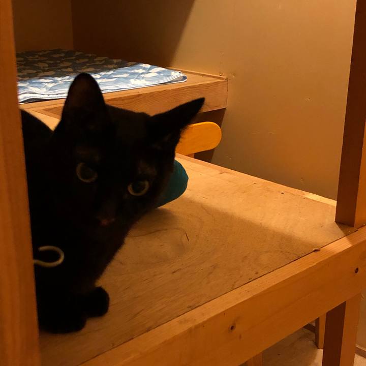 Fd4845a7 ad48 4e40 b349 3ae719c5dfeb 1659710592906