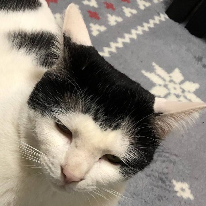 Fd48a5ab 1d6b 42c0 9690 78ce4f217061 1558858218381