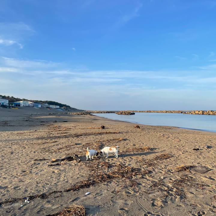 Fd48e2b7 e774 49c1 ab8e 8a1d9d875d4a 1731713431499