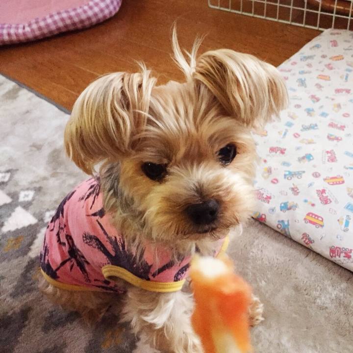 Fd48e578 bfbd 4362 99fd dd75c6e1a872 1529317659865